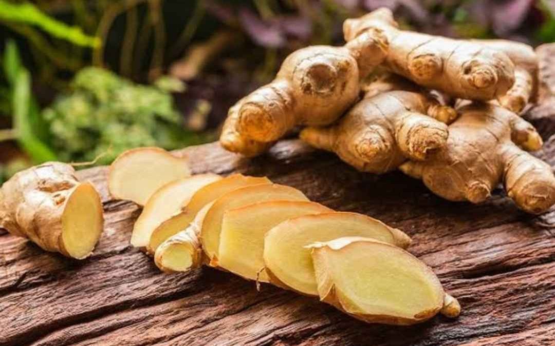 Manfaat Tanaman Herbal untuk Kesehatan dan Kehidupan