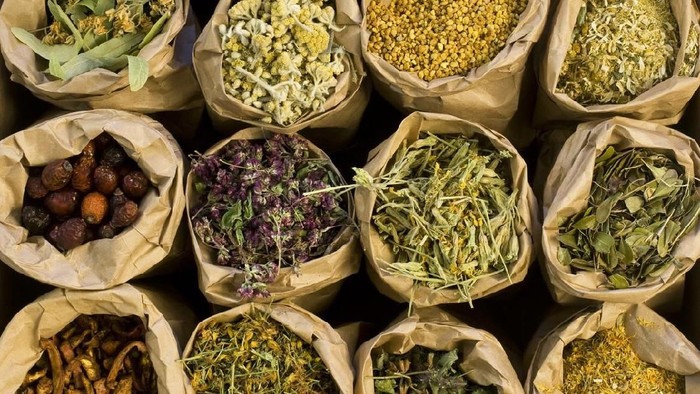 hidup sehat dengan herbal