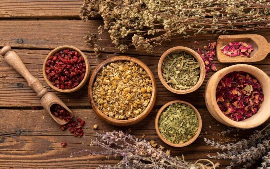 Obat Herbal Penambah Nafsu Makan: Alami dan Terbukti!