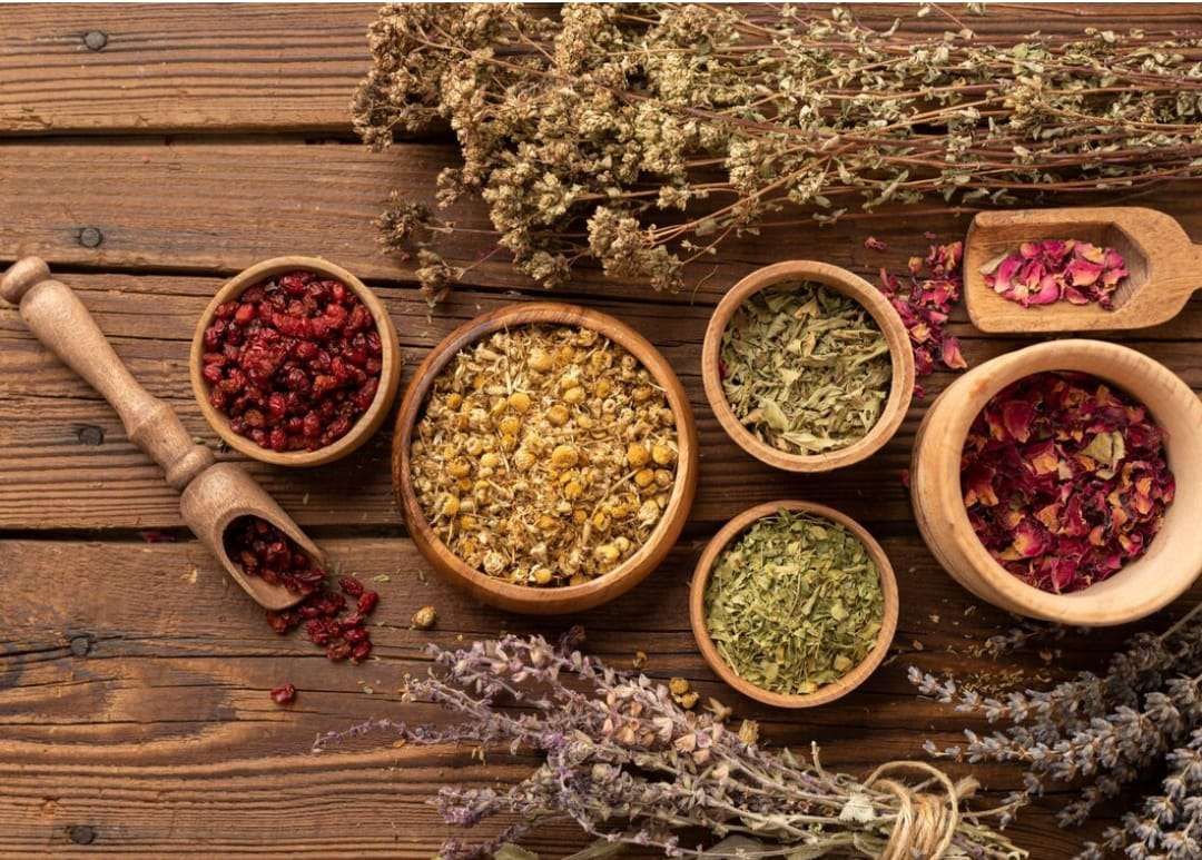 obat herbal nafsu makan