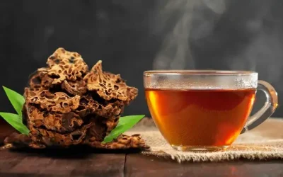 Teh Sarang Semut Papua: Manfaat Kesehatan dan Cara Penyajian yang Tepat