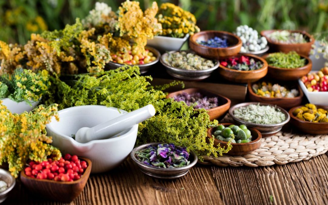 Beginner Herbalism Guide to Start Naturally