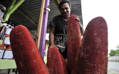 10 Buah Berwarna Merah yang Baik untuk Tubuh