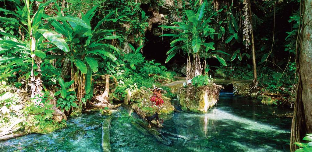 papua new guinea jungle