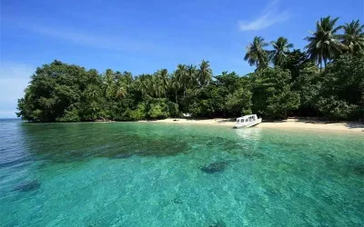 Mengenal Hasil Laut Papua dari Ikan hingga Komoditas Ekspor