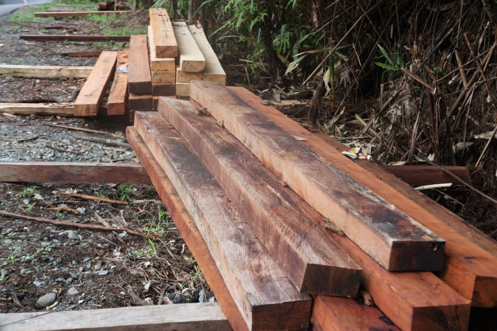 kayu dari papua