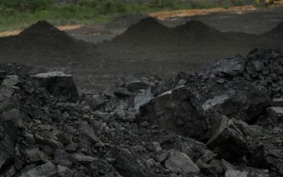 Tambang Batu Bara di Papua dan Perannya bagi Ekonomi Daerah