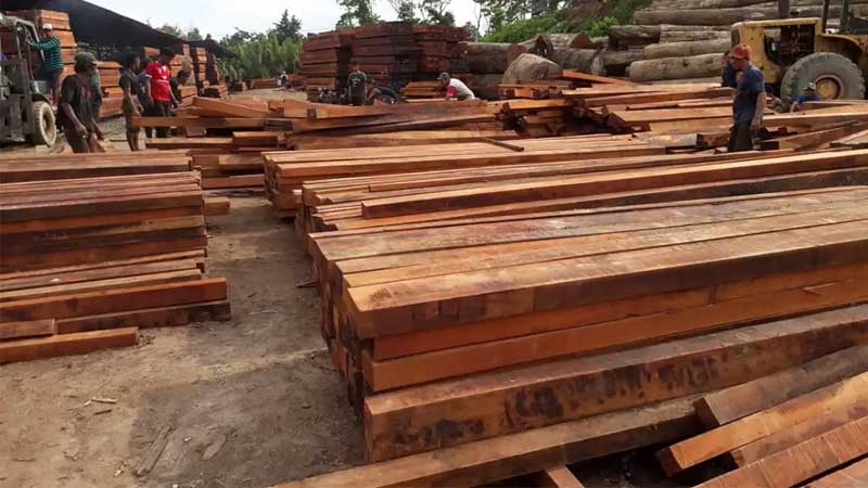kayu-sowang kayu dari papua