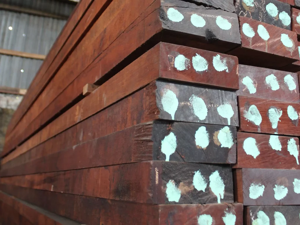 kayu dari papua