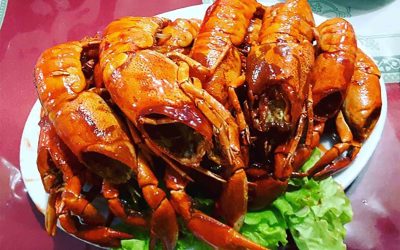 Udang Selingkuh Papua, Fakta Unik, Habitat, dan Rasanya
