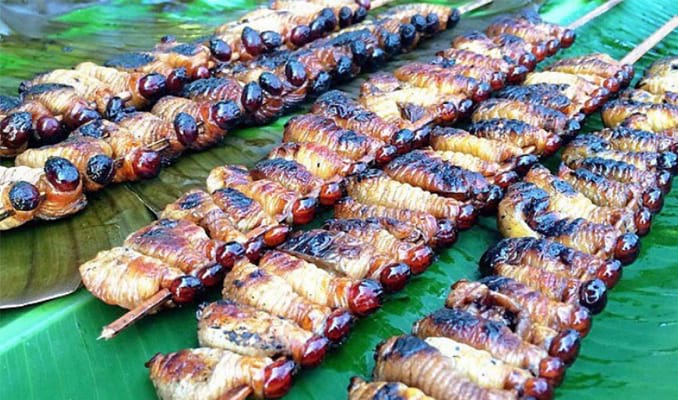 Sate-Ulat-Sagu-Khas-Papua ulat sagu makanan khas papua