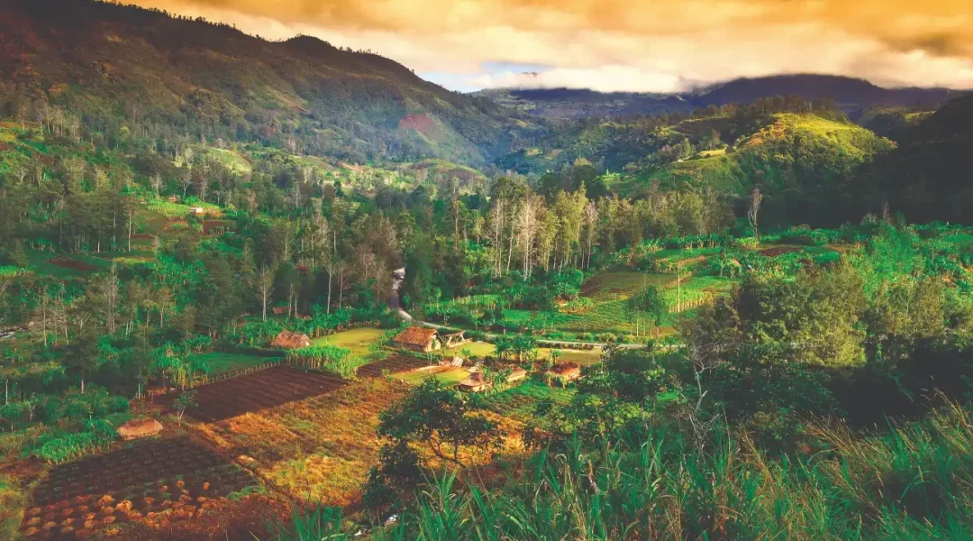 Mount Hagen Papua New Guinea, Complete Highlands Guide