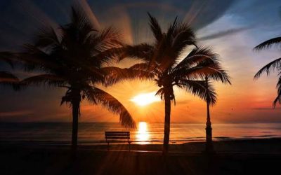 Hiri Motu Language, History, Grammar and Useful Phrases