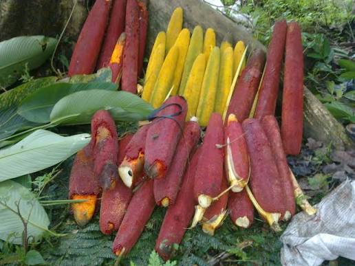 images (22) papua new guinea native fruits